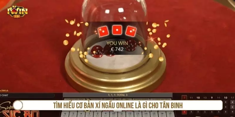 Cách Chơi Xí Ngầu Online Hiệu Quả Từ Cao Thủ Lâu Năm Thông tin cơ bản về xí ngầu online là gì
